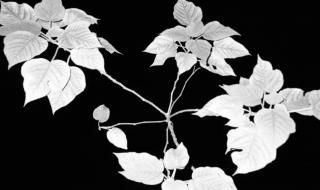 我会好好过 我会好好过